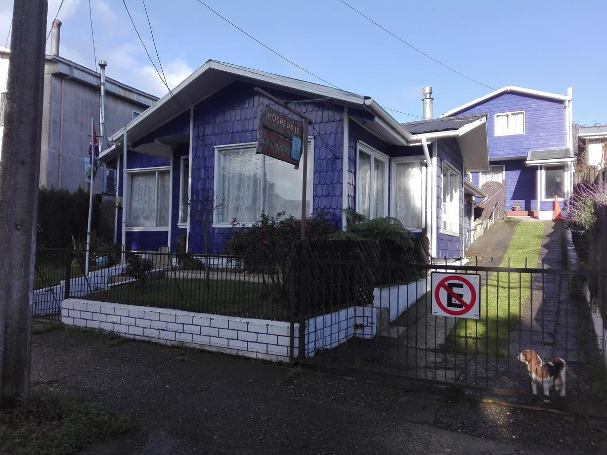 Hospedaje Los Calafates Ancud Dış mekan fotoğraf